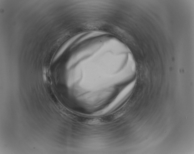 X0000074010075200609111634