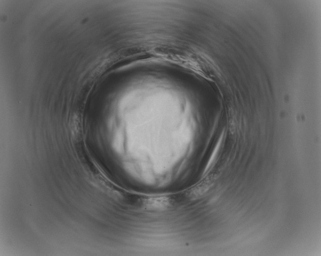 X0000074010077200609111634