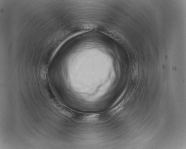 X0000074010078200609111634