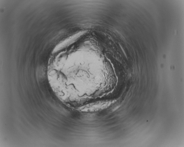 X0000074010081200609111634