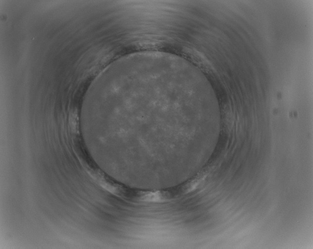 X0000074010083200609111634