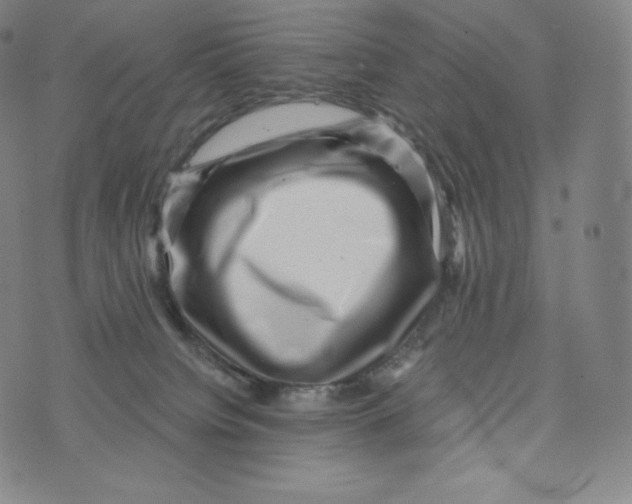 X0000074010084200609111634