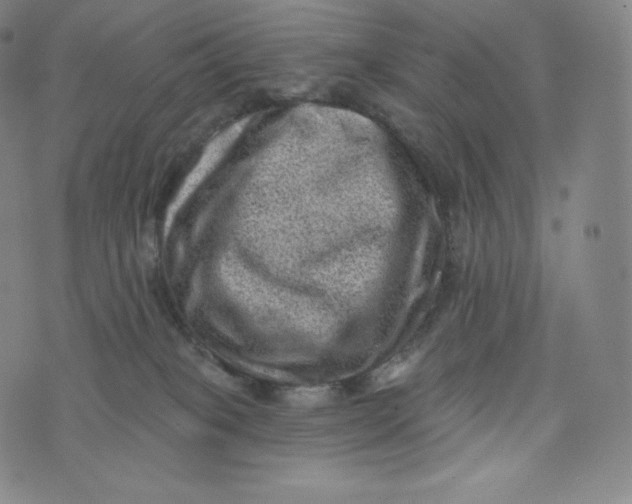 X0000074010085200609111634