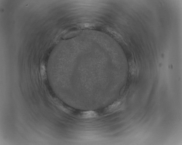 X0000074010087200609111634