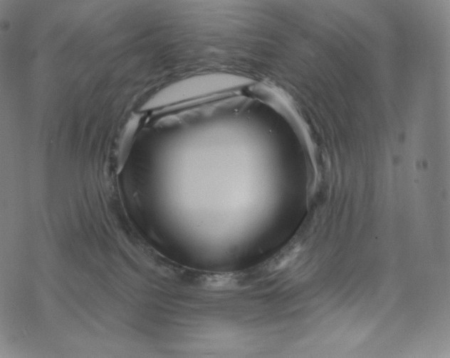 X0000074010088200609111634