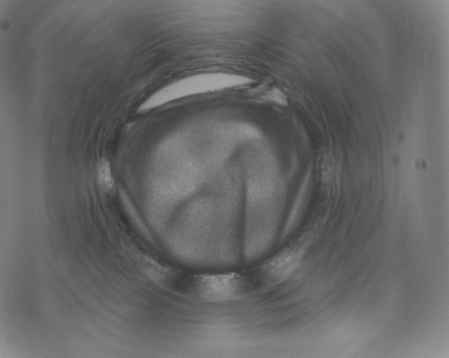 X0000074010089200609111634