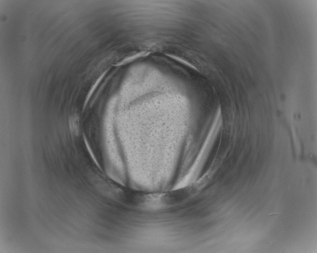 X0000074010090200609111634