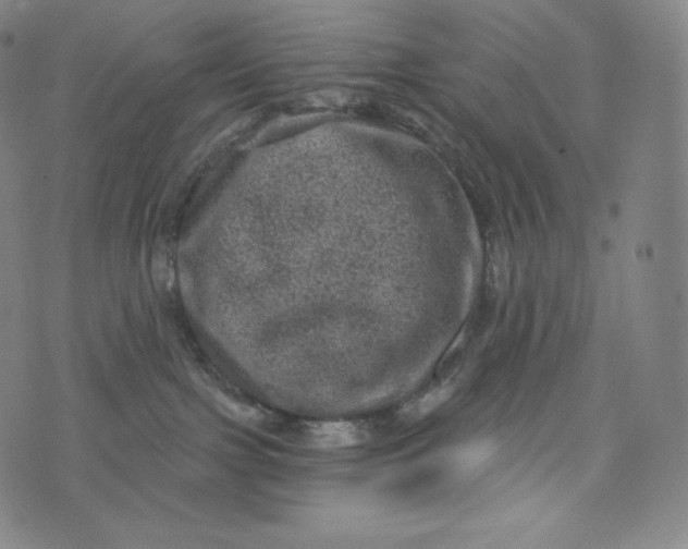 X0000074010091200609111634