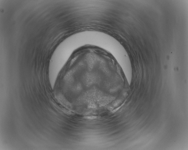 X0000074010092200609111634