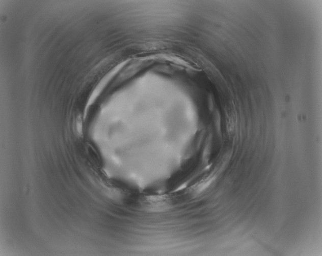 X0000074010095200609111634