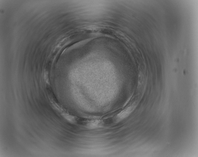 X0000074010096200609111634