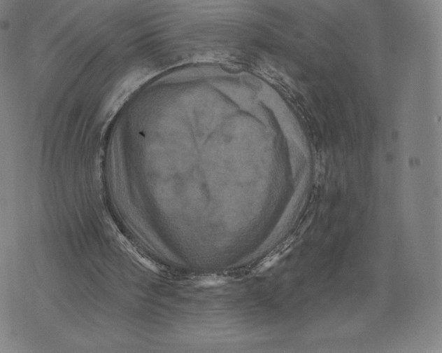 X0000074010098200609111634