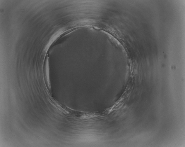 X0000074010099200609111634