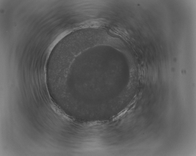 X0000074010100200609111634