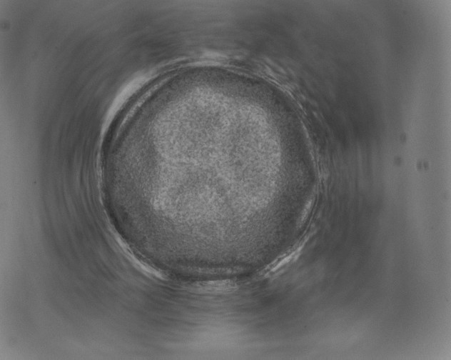 X0000074010102200609111634