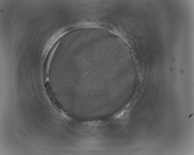 X0000074010103200609111634