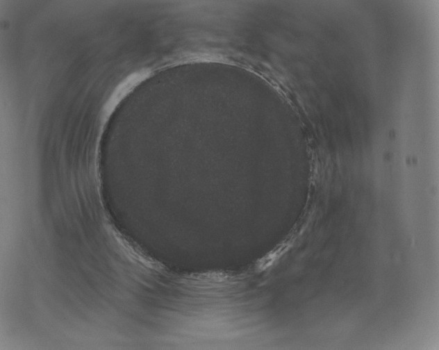 X0000074010104200609111633