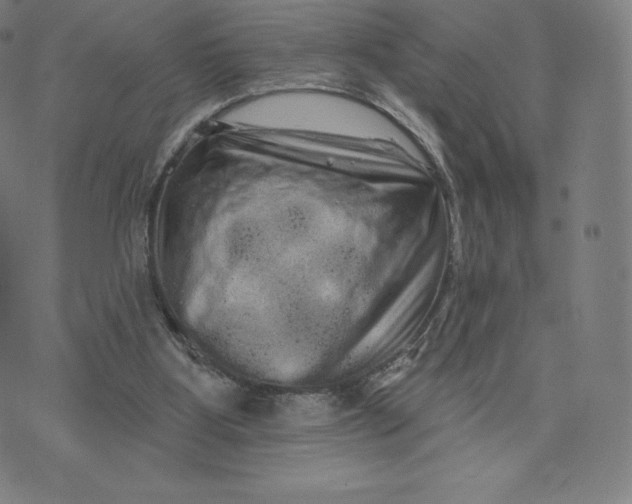 X0000074010107200609111633