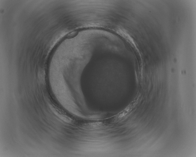 X0000074010108200609111633