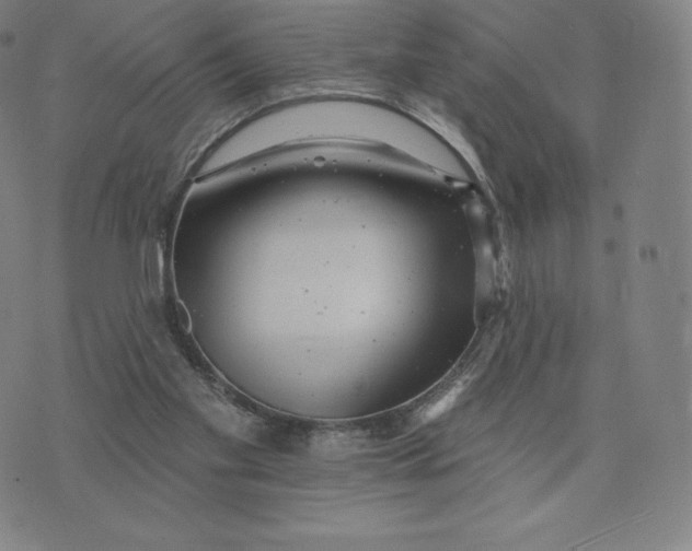 X0000074010109200609111633