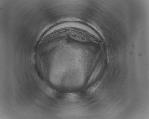 X0000074010111200609111633