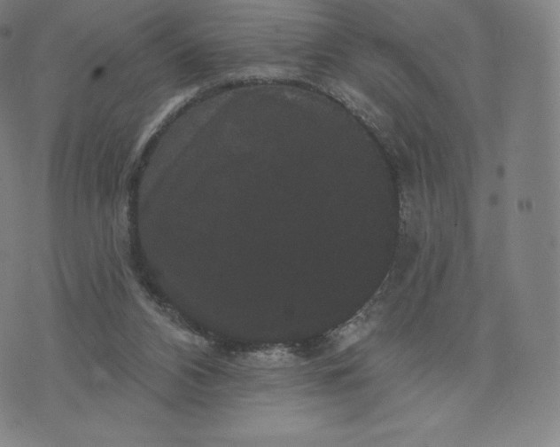 X0000074010112200609111633