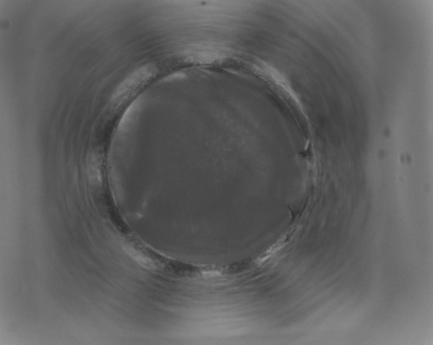 X0000074010114200609111633