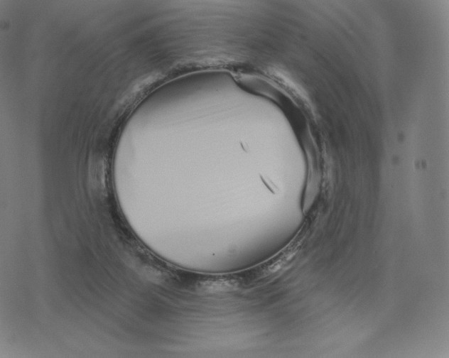 X0000074010115200609111633