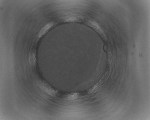 X0000074010116200609111633