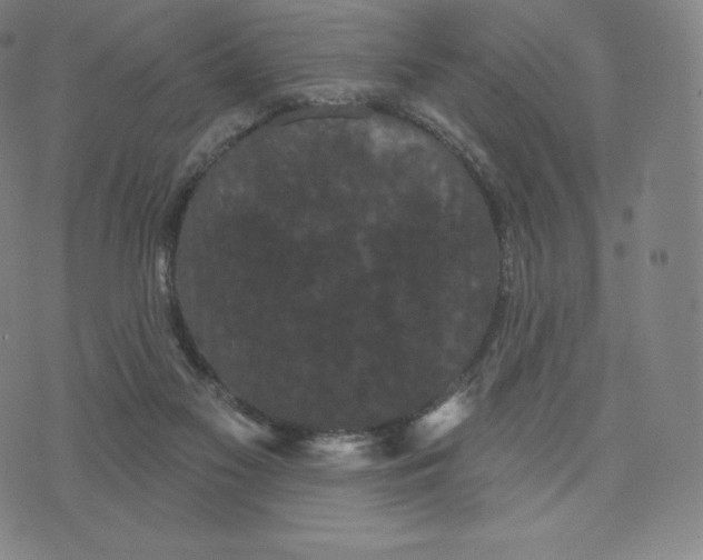 X0000074010117200609111633