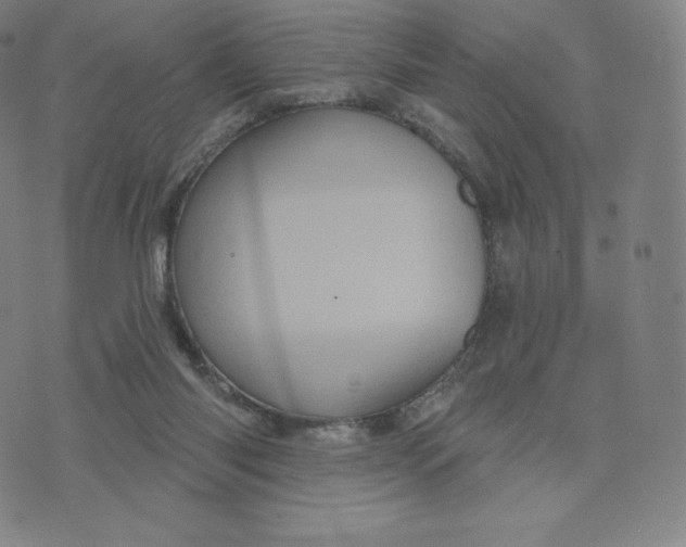 X0000074010118200609111633