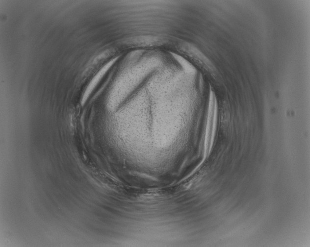 X0000074010119200609111633