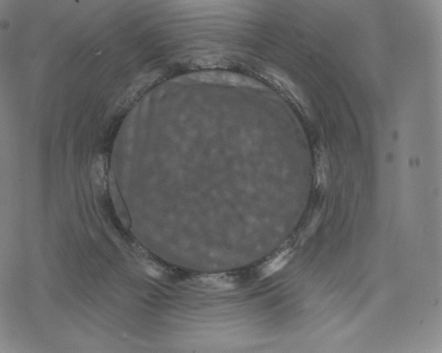 X0000074010121200609111633