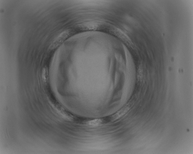 X0000074010122200609111633