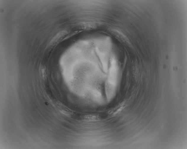 X0000074010123200609111633