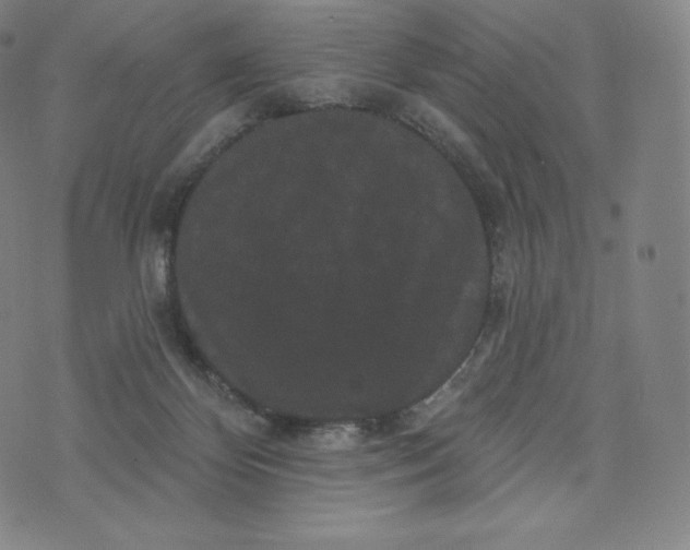 X0000074010124200609111633