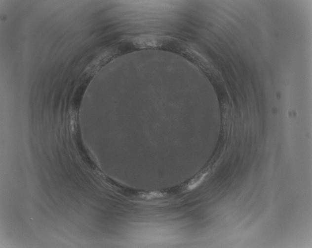 X0000074010125200609111633