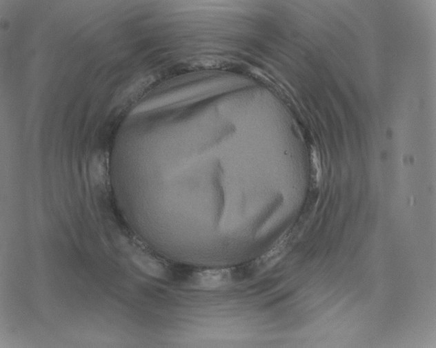 X0000074010126200609111633