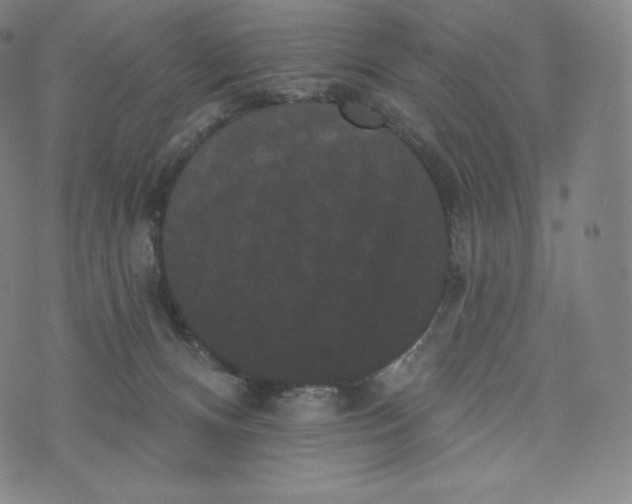 X0000074010128200609111633