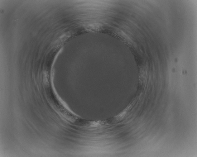 X0000074010130200609111633