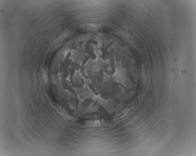 X0000074010131200609111633