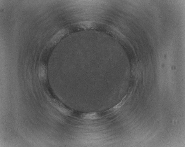 X0000074010132200609111633