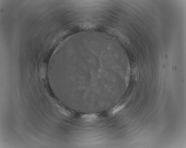 X0000074010133200609111633