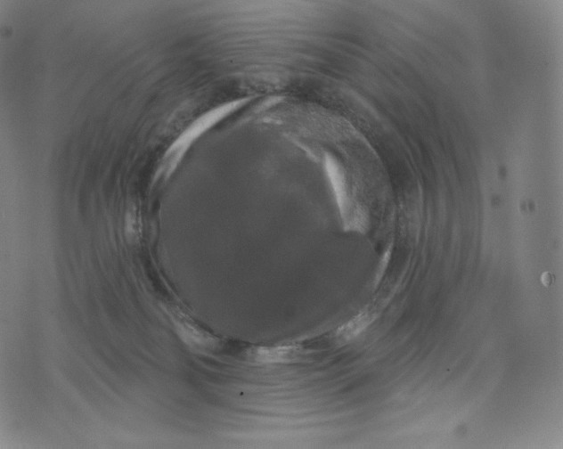 X0000074010134200609111633