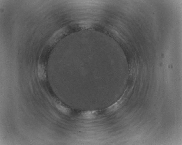 X0000074010136200609111633