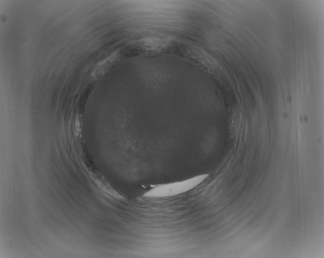 X0000074010137200609111633