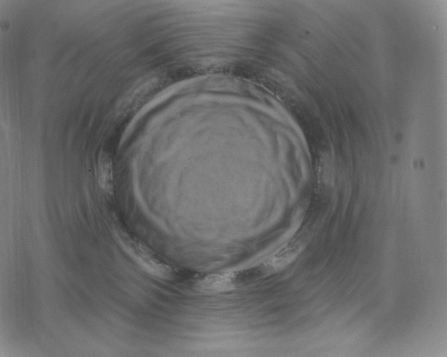 X0000074010138200609111633