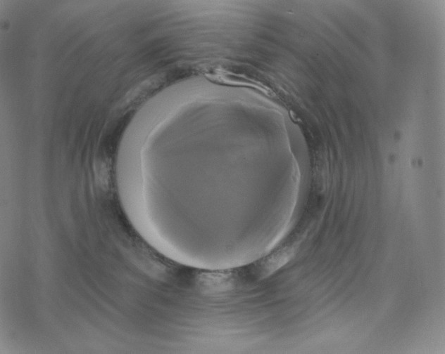 X0000074010139200609111633