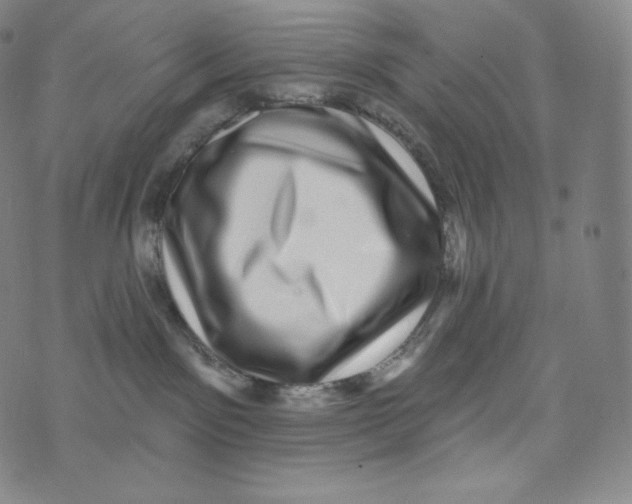 X0000074010141200609111633