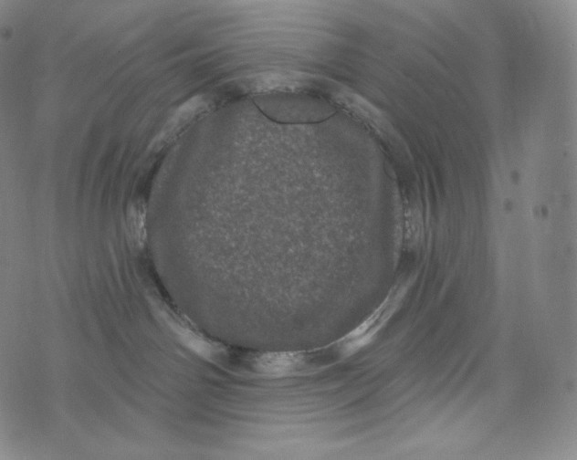 X0000074010142200609111633